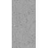 Grey Mirror Fleck Quartz 30x60cm