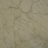 BLANCO VENATO MARBLE 30.5X30.5CM