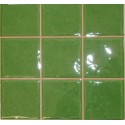 Plaza Wall Tile - Rainbow Green 28x28cm