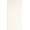 Tecni Parma Blanco Brillo 25x50