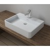 Countertop Stone Basin