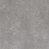 Saloni B-Stone Gris 60x60 B25