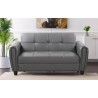 Zinc Living Room Furniture 2 Seater Sofa Bed