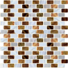 Cream & Brown Mixed Shell Mosaic Rectangular 