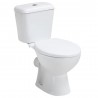 K-Vit Proton Rimless Trade Toilet to Go