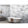 Marmara Ice 29.5x60 White Polished