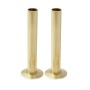 15mm Pipe and Rosettes Brushed Brass (Pair)