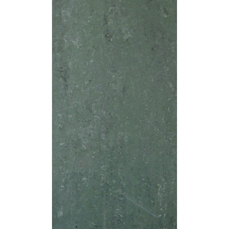 GREEN POLISHED PORCELAIN 30X60CM